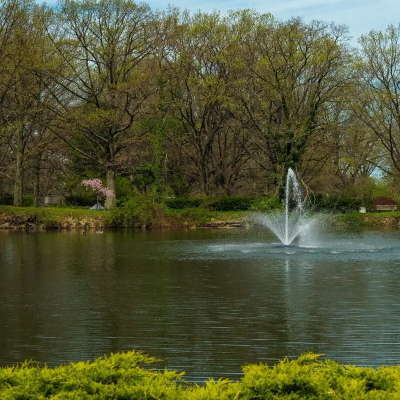 large pond fountains
