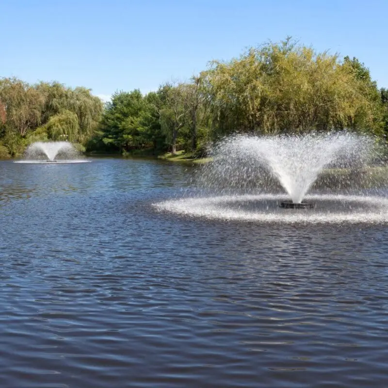 fountain ponds