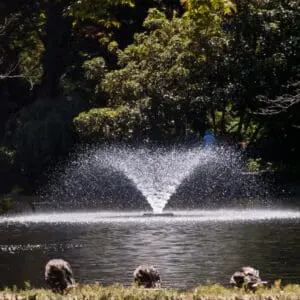 fountain installation