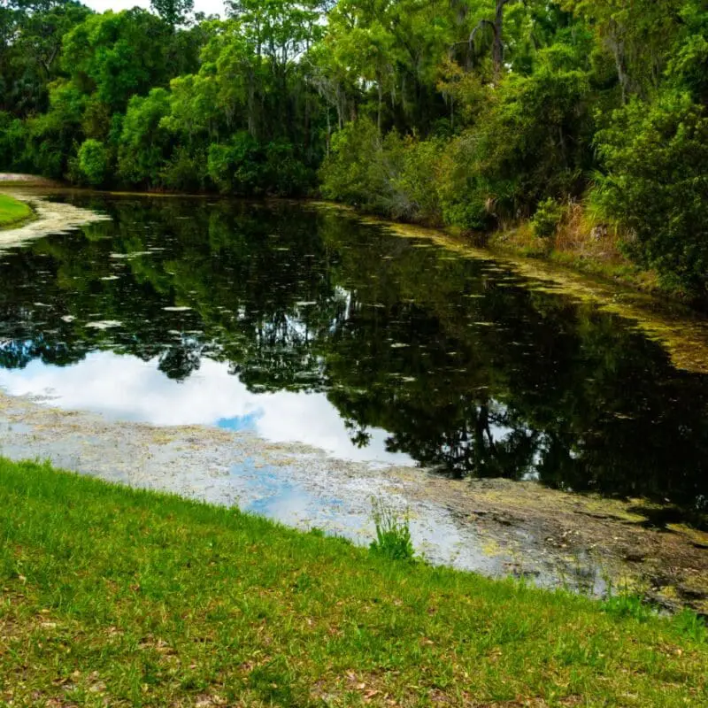 who is responsible for maintaining retention ponds