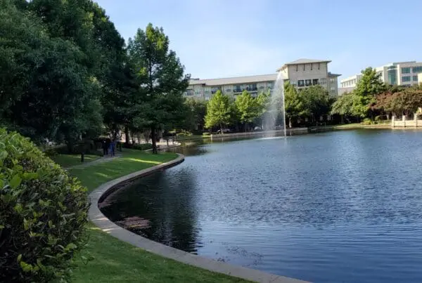 pond management texas