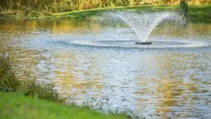 1 acre pond fountain