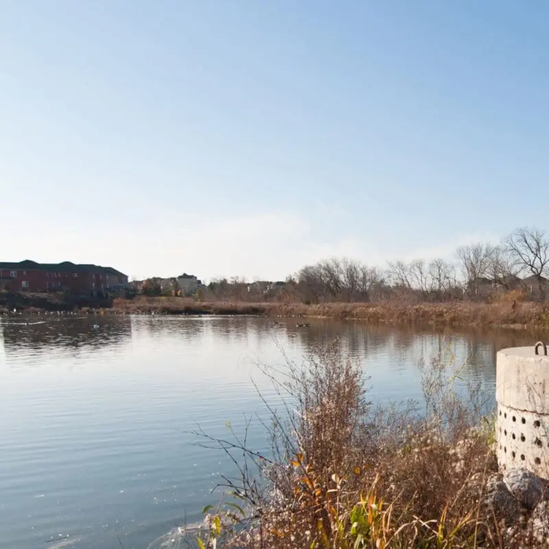 pond management