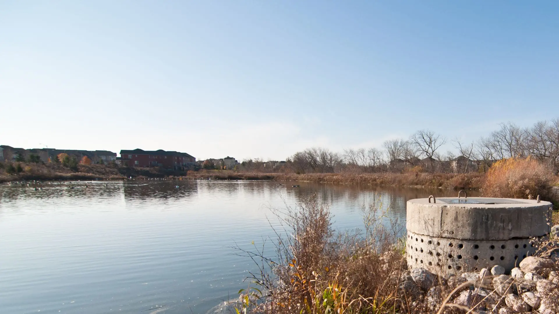 Expert Pond Management Techniques Unveiled by Pond Experts
