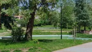 pond management