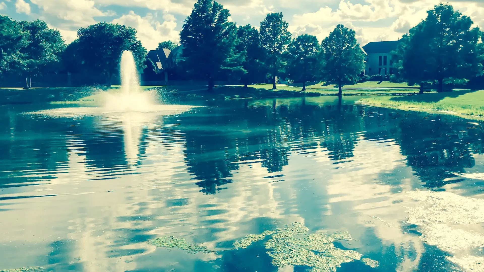 pond care service