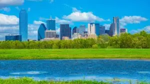 pond care service