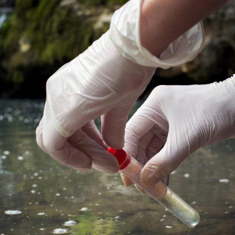 Where to get pond water tested