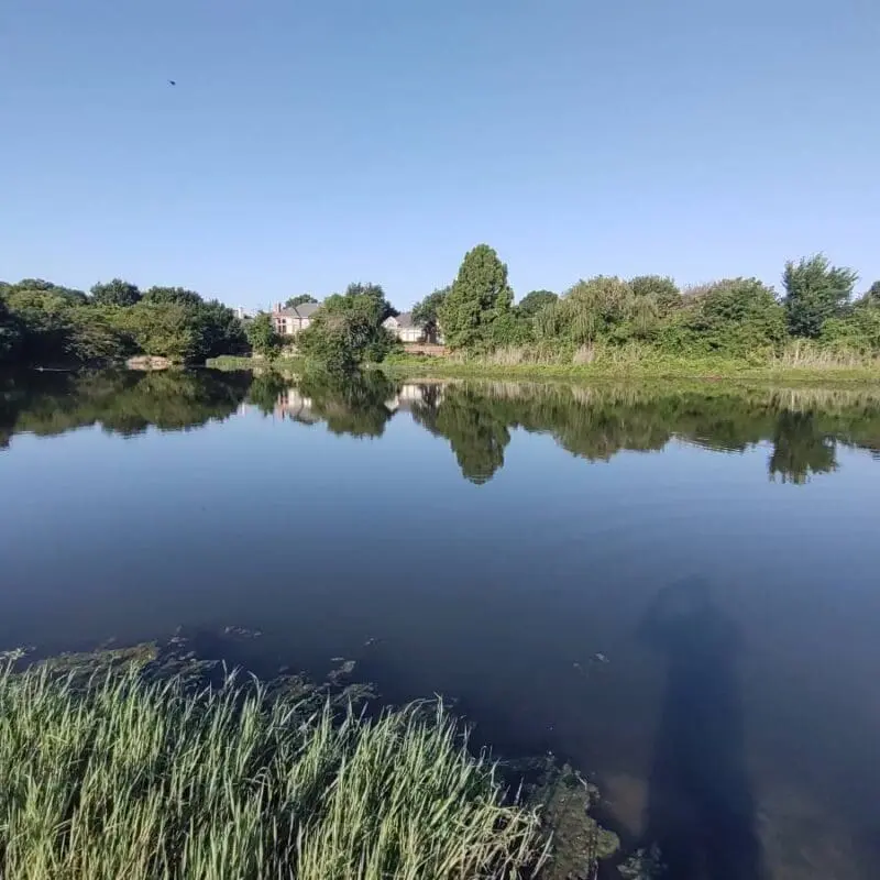 clean pond after dredging