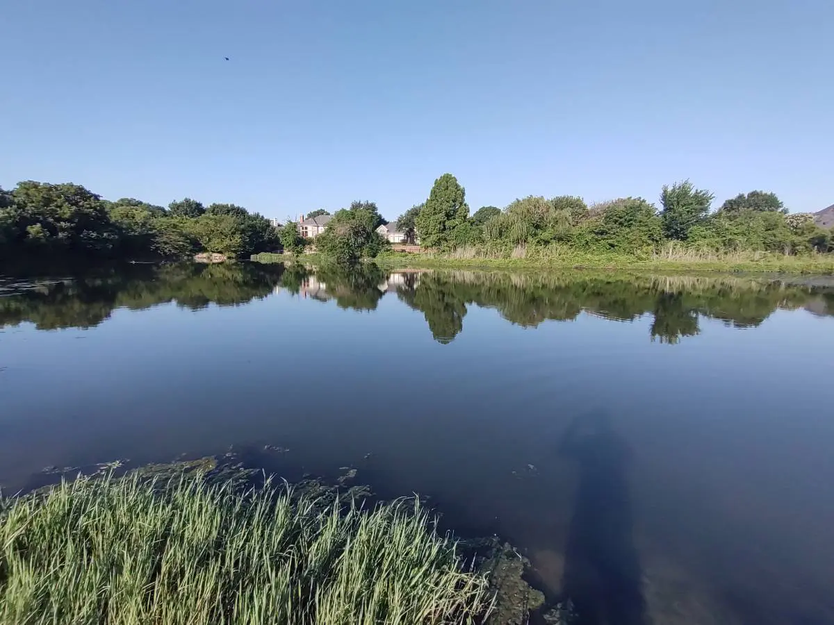 Pond Dredging: What is it and why is it important?