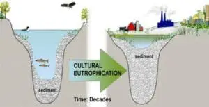 Cultural Eutrophication