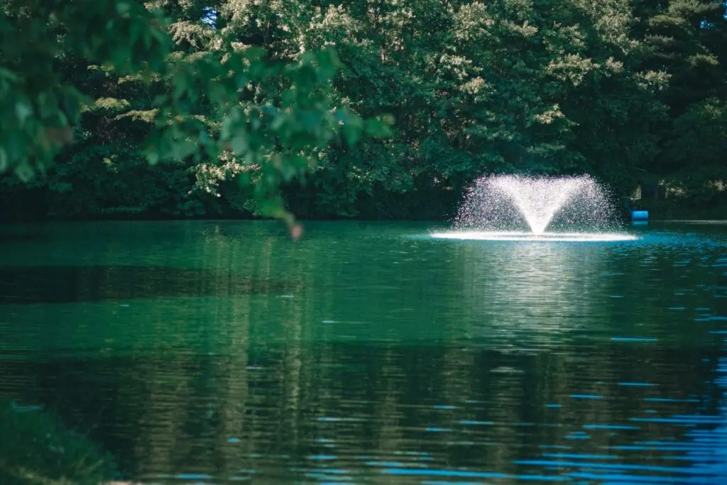 fountain pond water feature