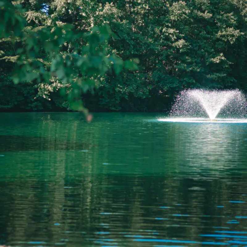 fountain pond water feature