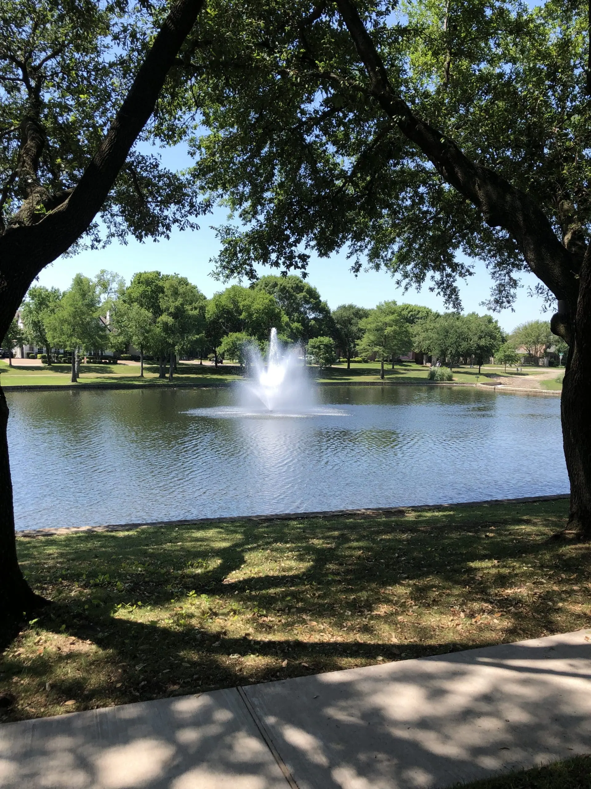 Fountain Timers: Digital, Analog and Solar Eyes – Oh My!