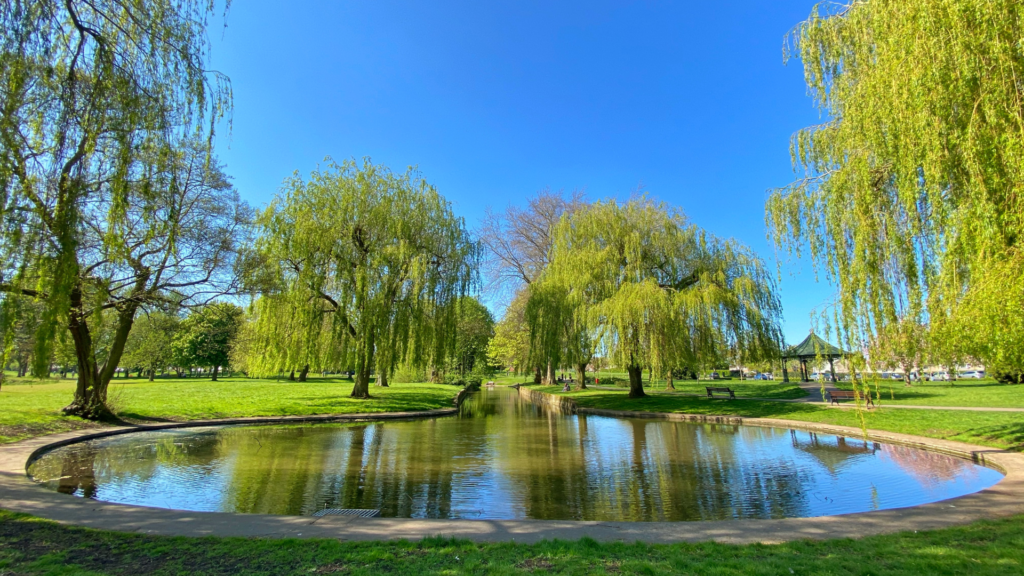 importance of pond service