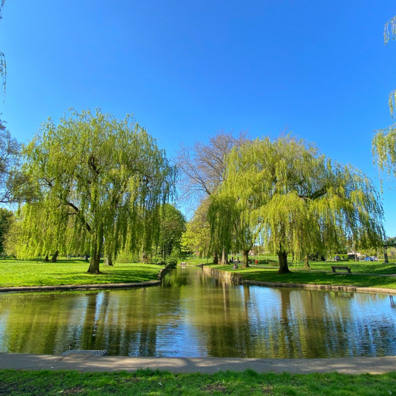 importance of pond service