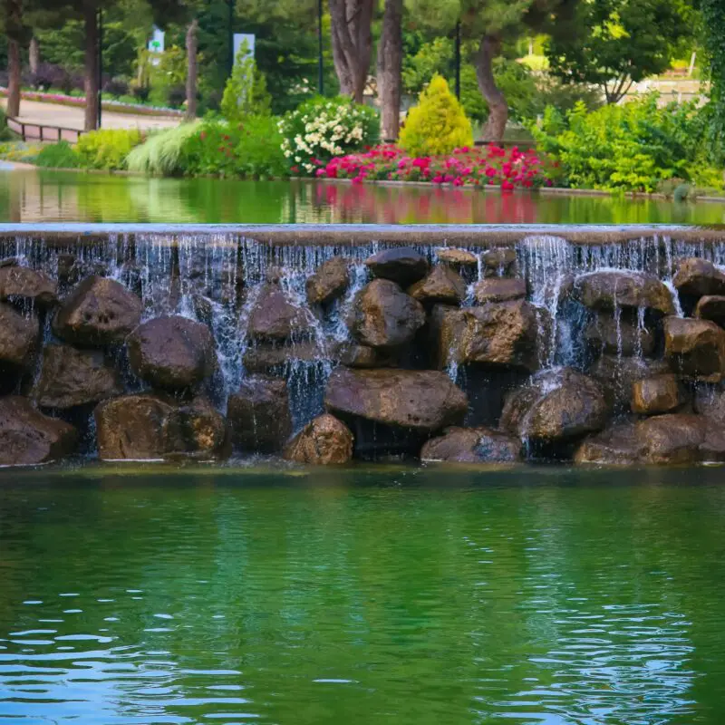 Pond management