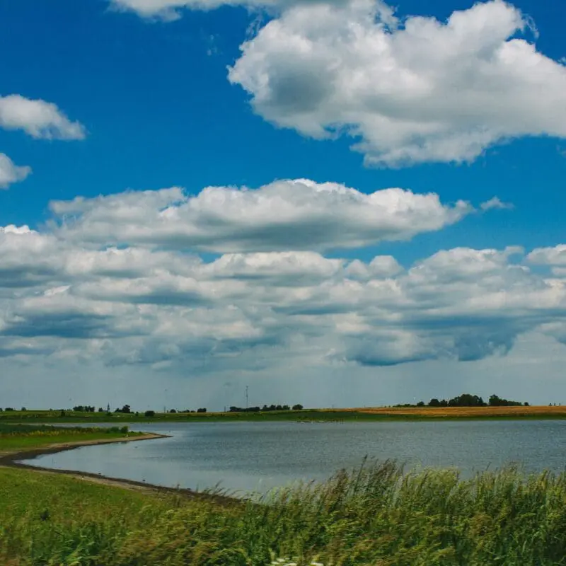 pond shoreline showcasing erosion control methods