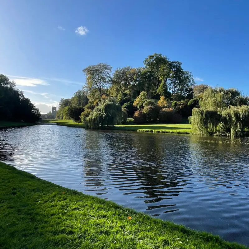 Pond management