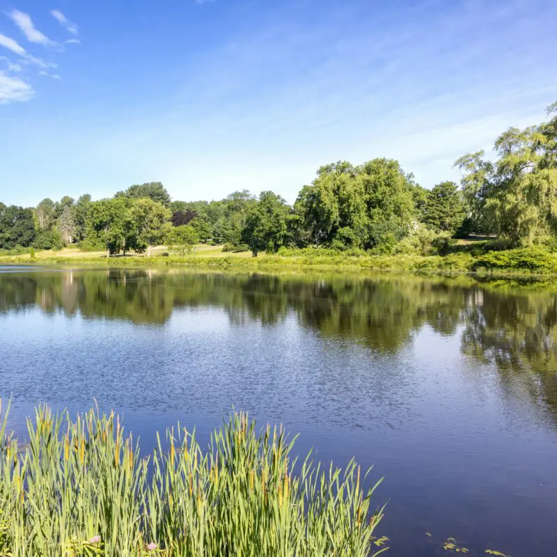 Pond Aeration Placeholder Image