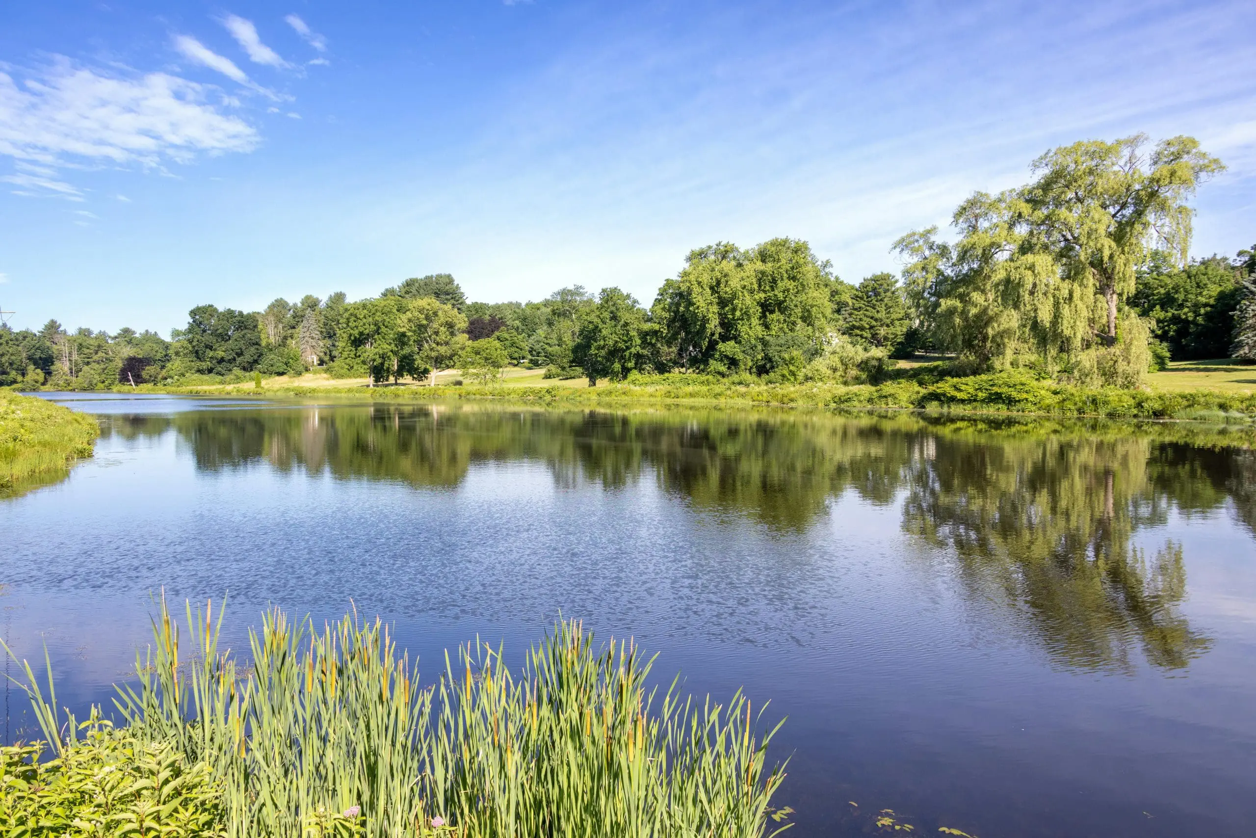Pond Aeration Systems: How Aeration Systems Improve Water Quality and Pond Health