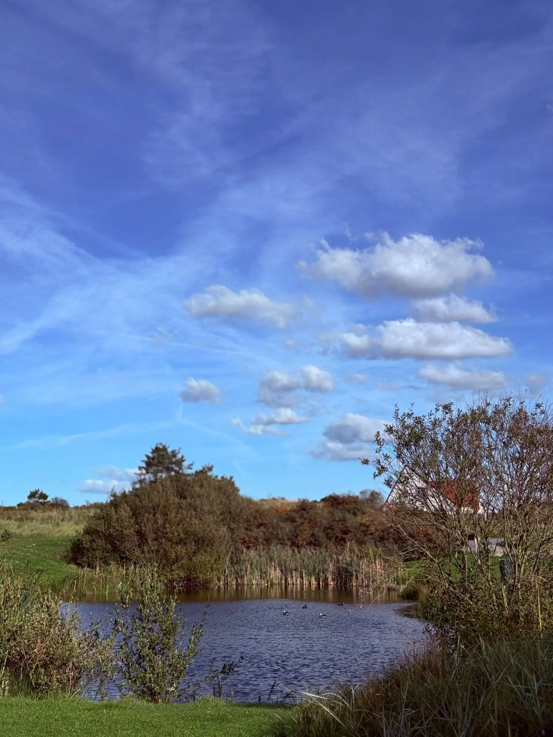 HOA Pond