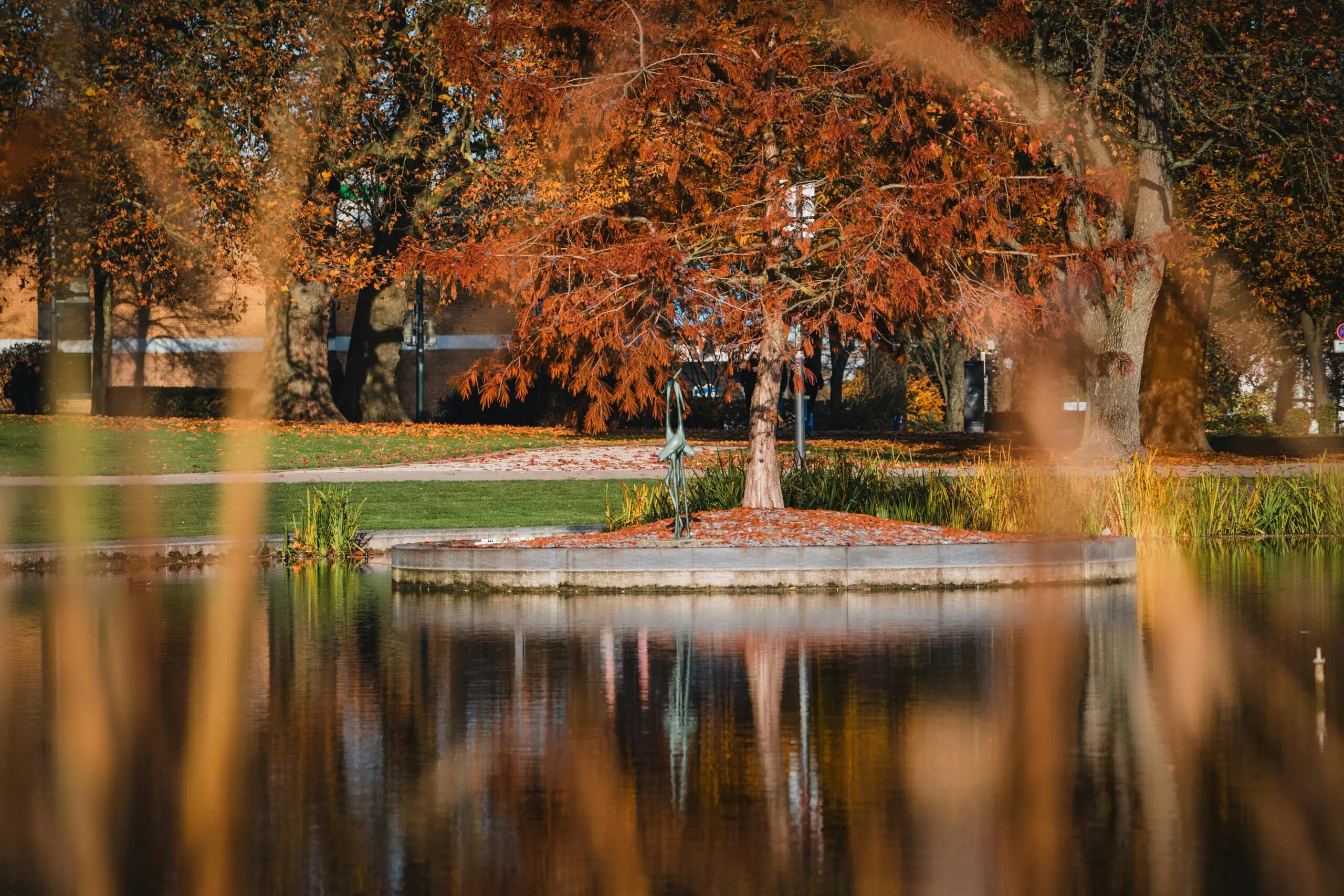 North Texas Pond Care Checklist for Clearer Water