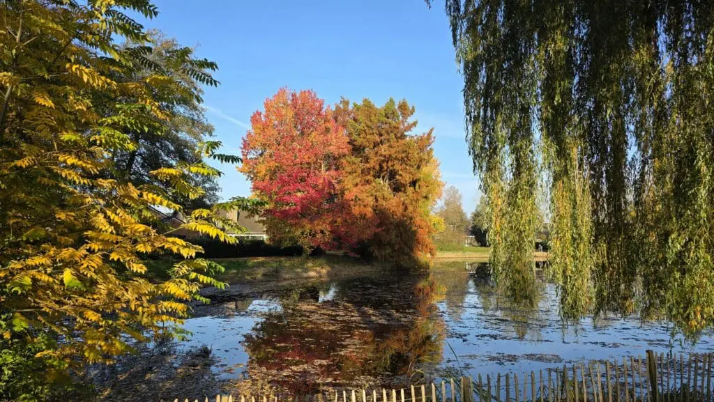 Hydraulic dredging services