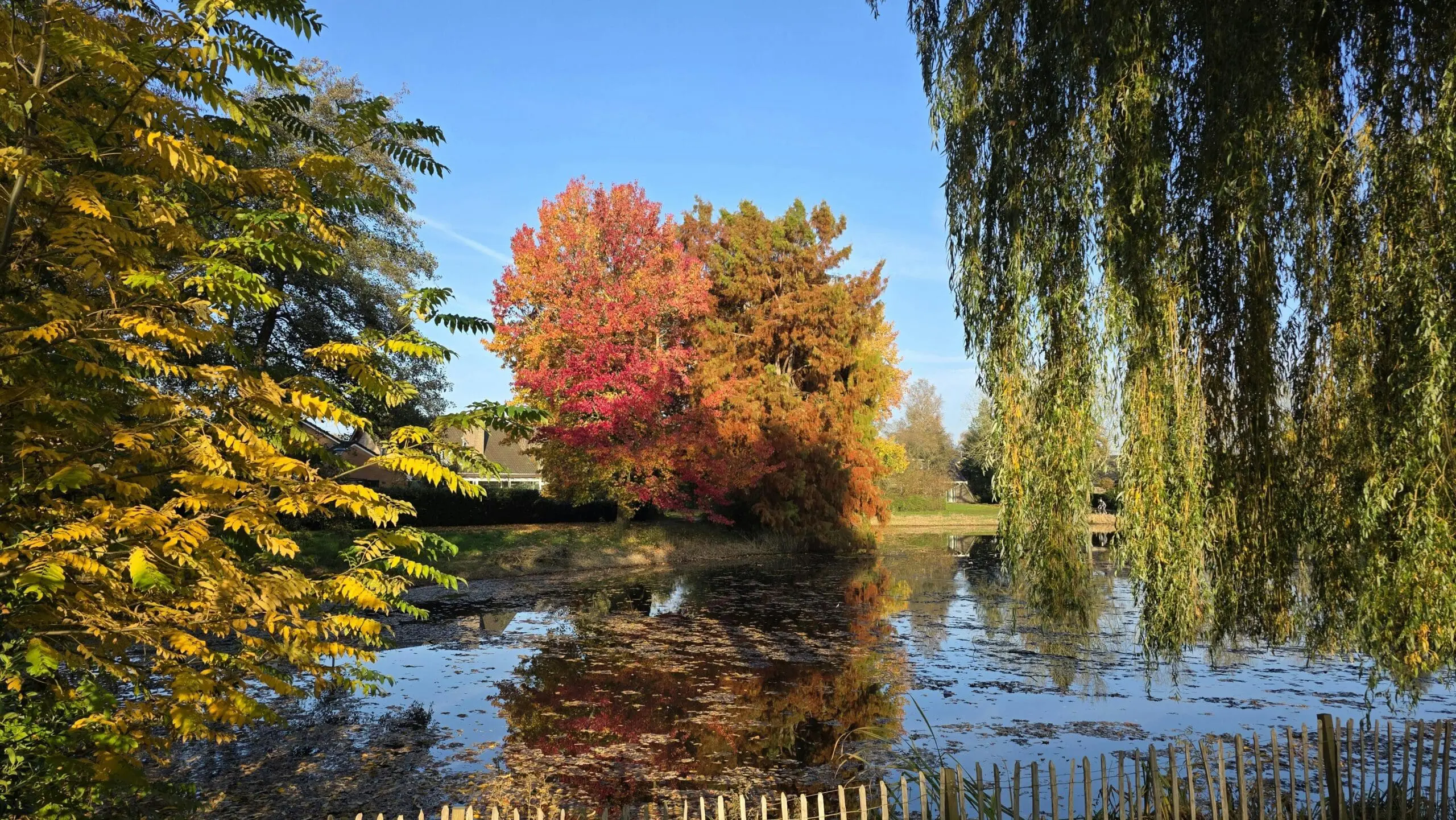 Restore Depth with Hydraulic Dredging Services in DFW