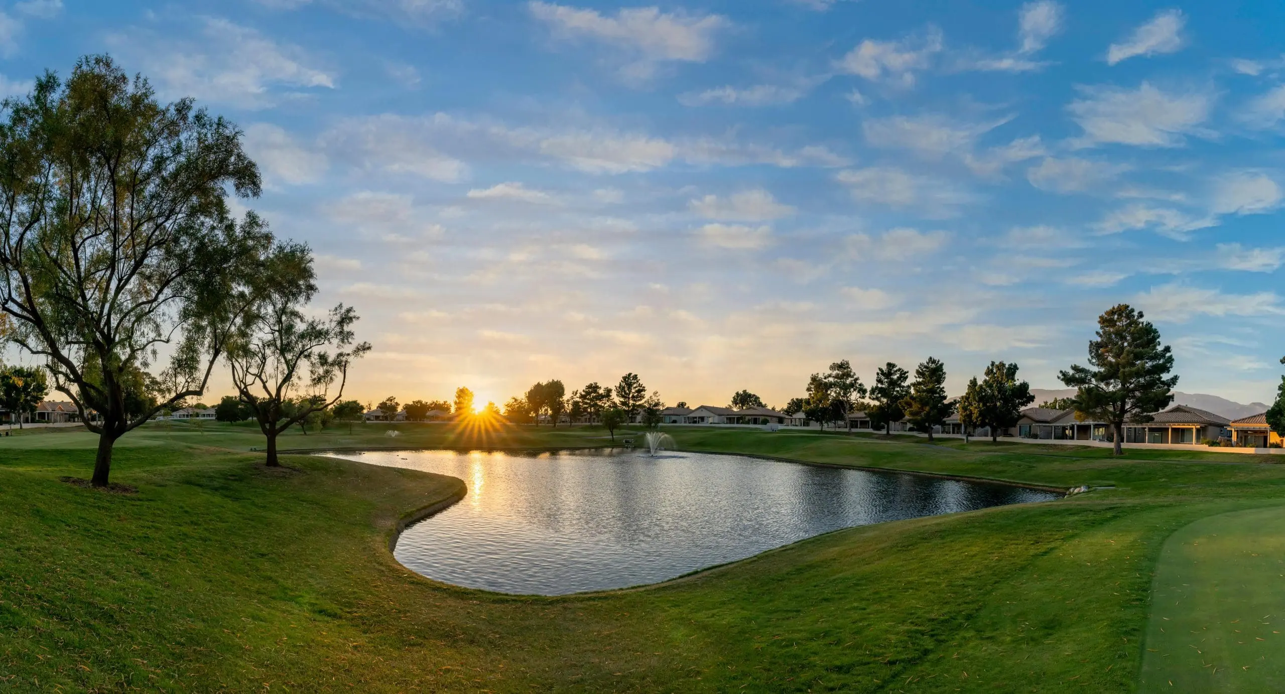 Proven Algae Bloom Prevention Strategies for Clearer Water