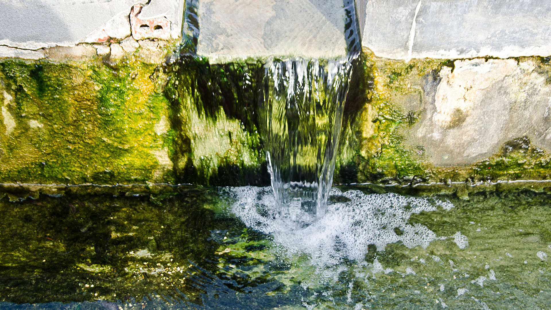 5 Tips for Pond Drainage System Installation & Maintenance