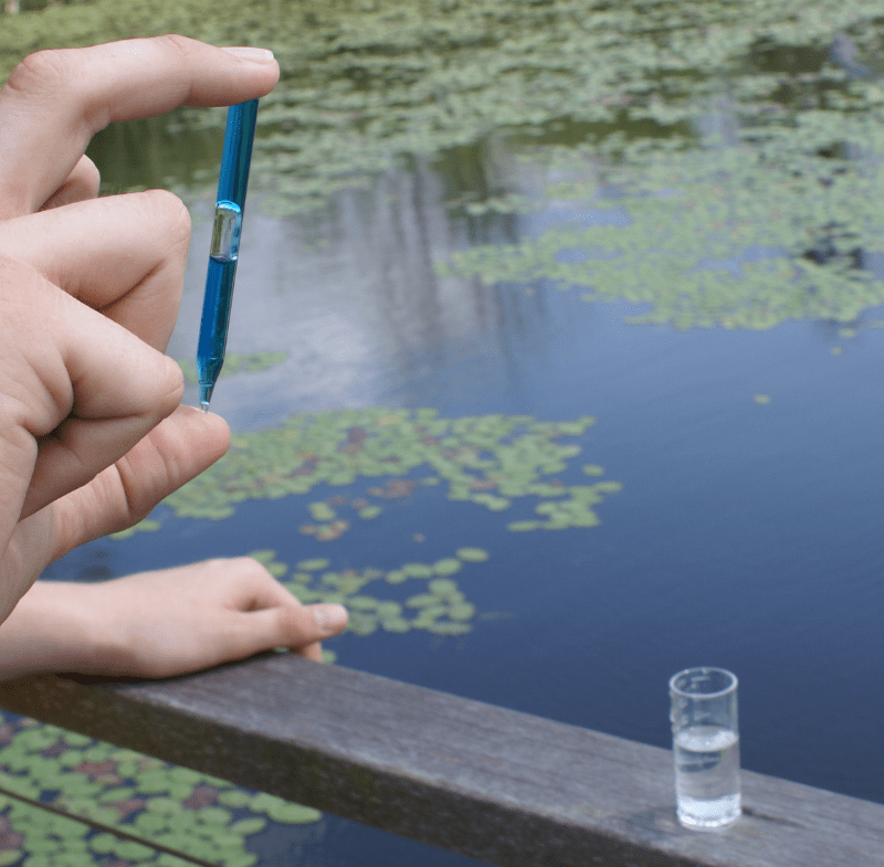 pond water testing