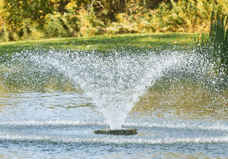 Installing a fountain in your pond