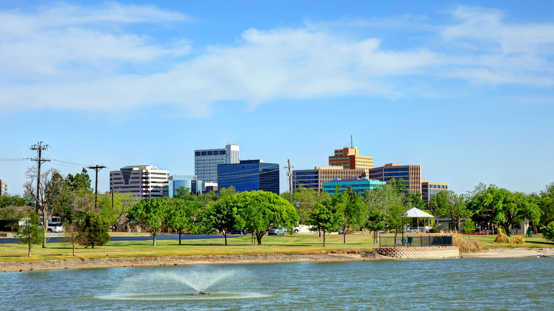 Pond Experts Near Me North Texas