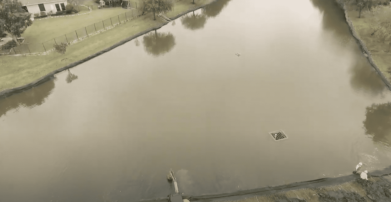 Choosing the Right Pond Control Services for Your Needs