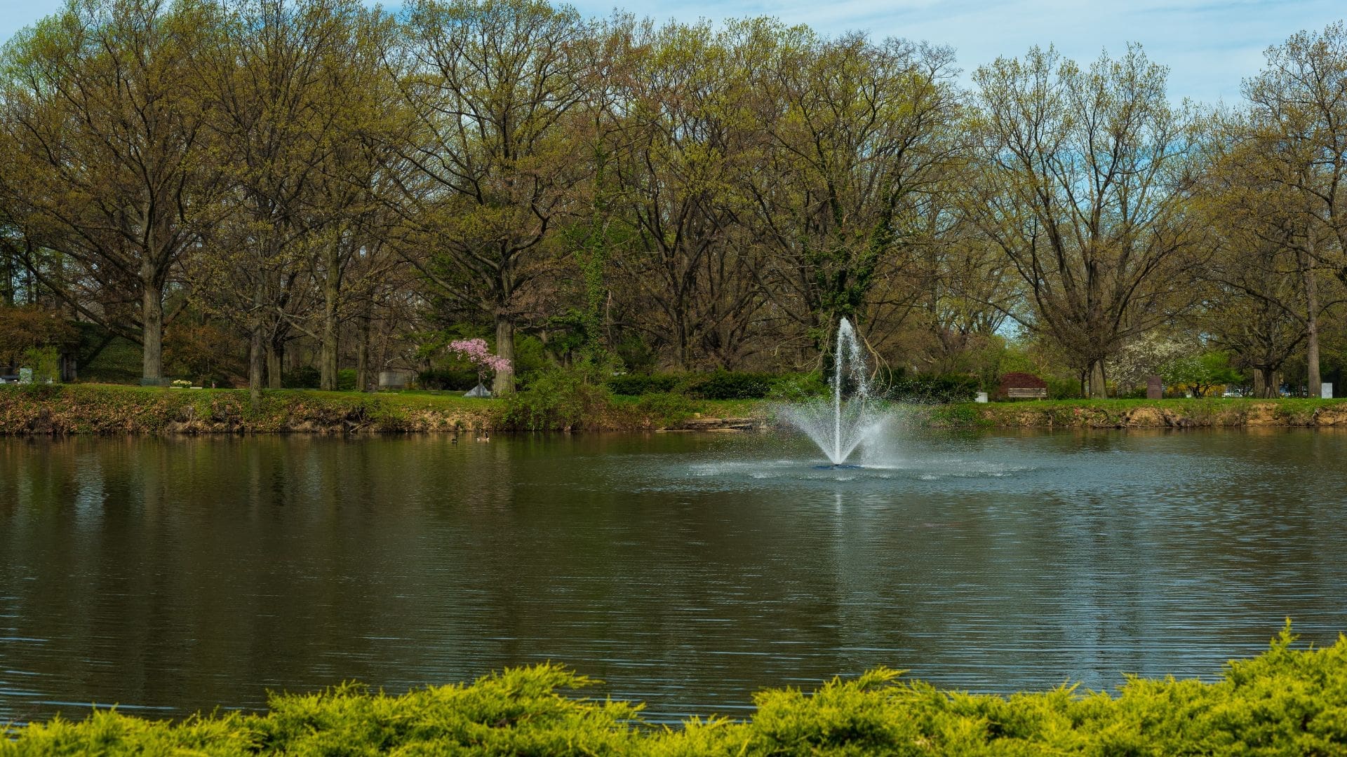 Enhance Your Landscape with Large Pond Fountains