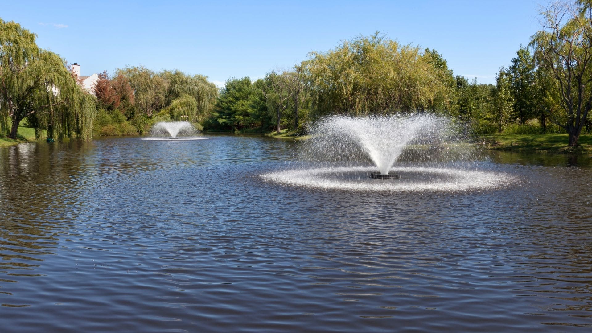 Fountain Ponds and the Benefits of Installation
