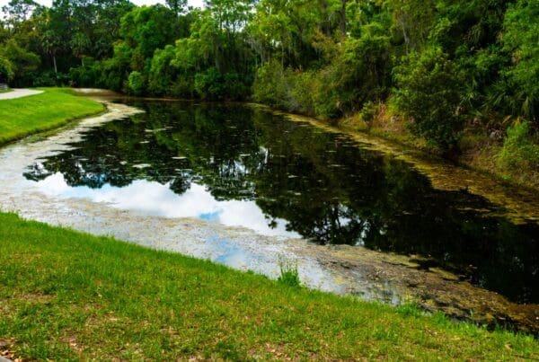 who is responsible for maintaining retention ponds