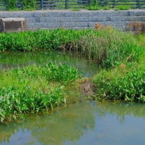 who is responsible for maintaining retention ponds