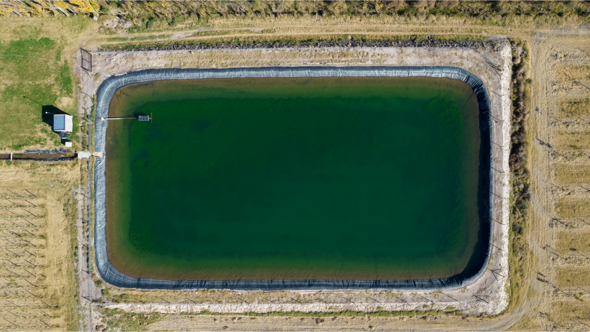 The Importance of an Irrigation Pond in Sustaining Communities